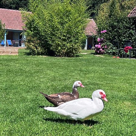Vila Le Pre Marin Sotteville-sur-Mer Exteriér fotografie